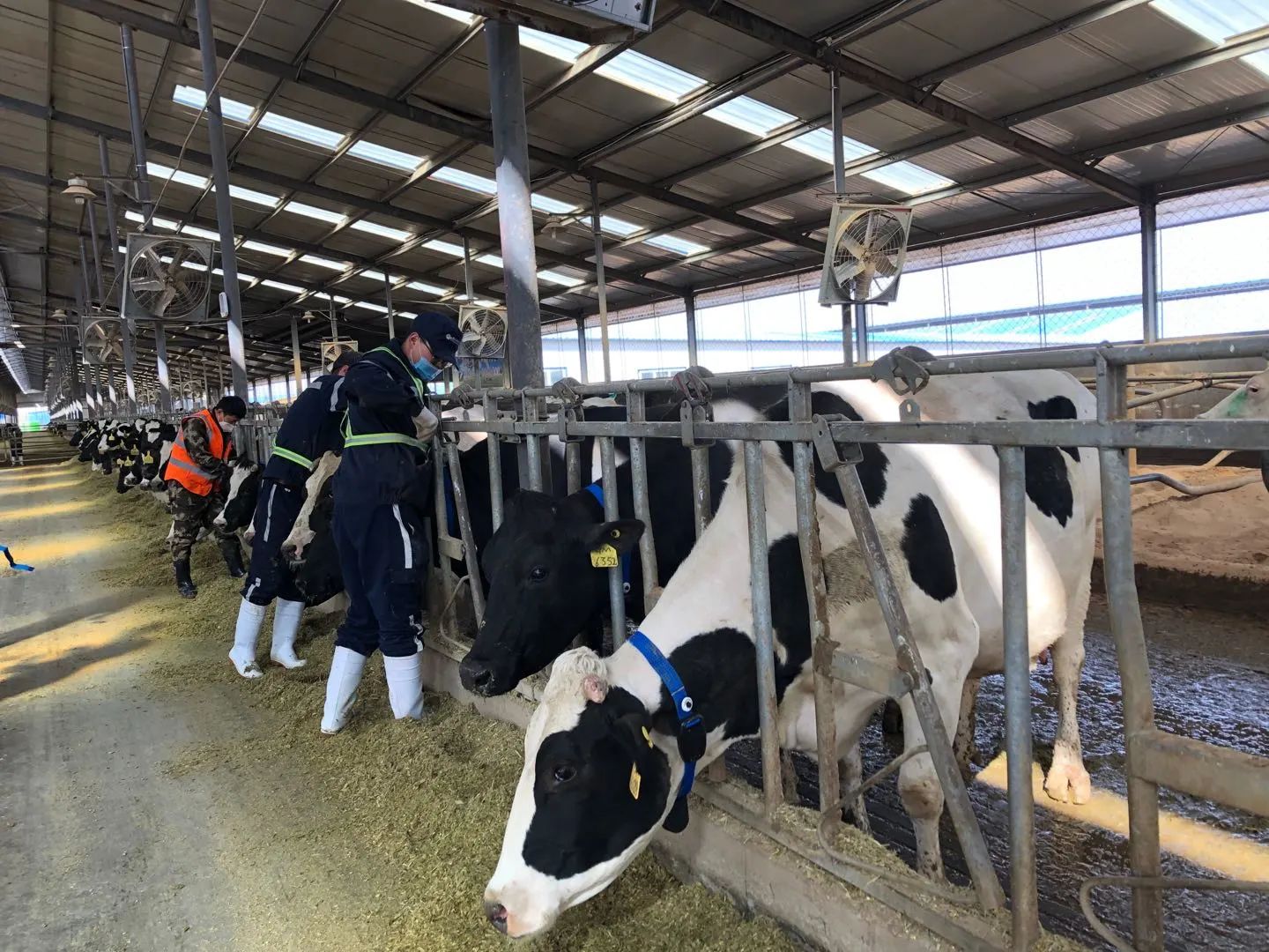 bfc9a576-ec6a-4fbf-9571-ae1b5fd1f3c5