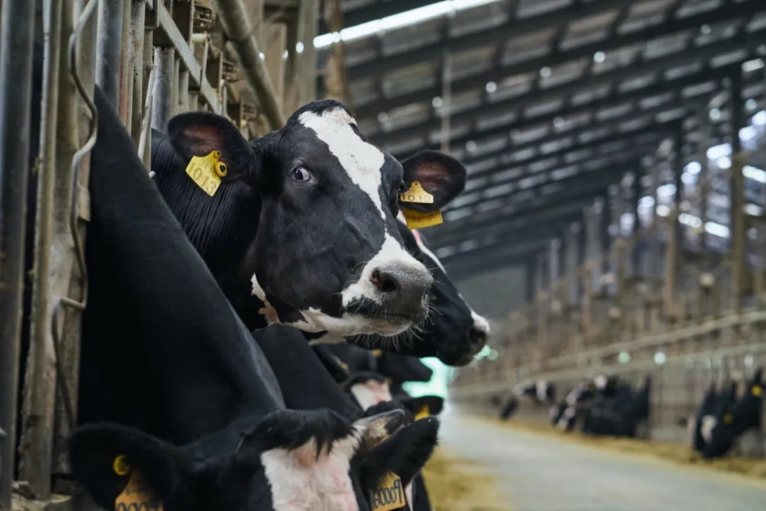 f124e012-a56e-474d-bcc3-fe7e9091acd7